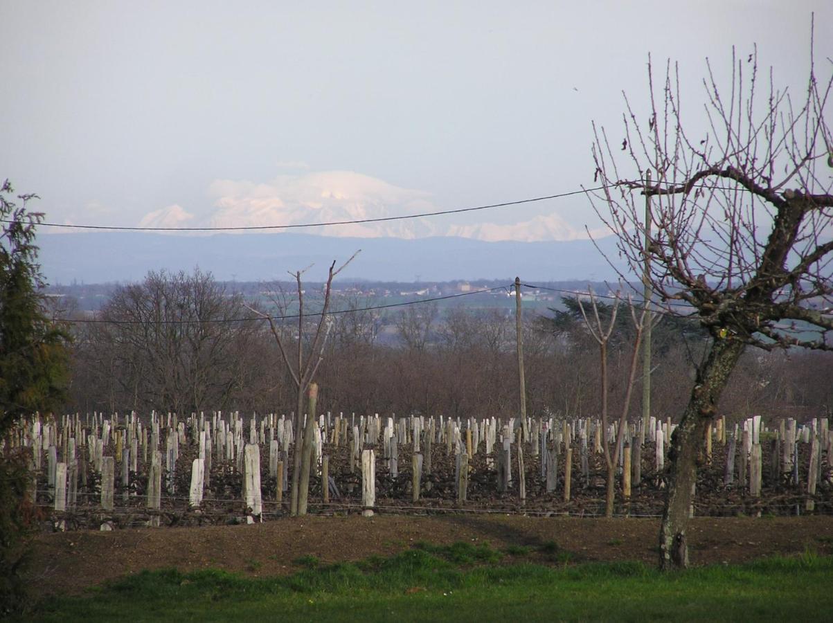 Château De Grandmont D'hôtes