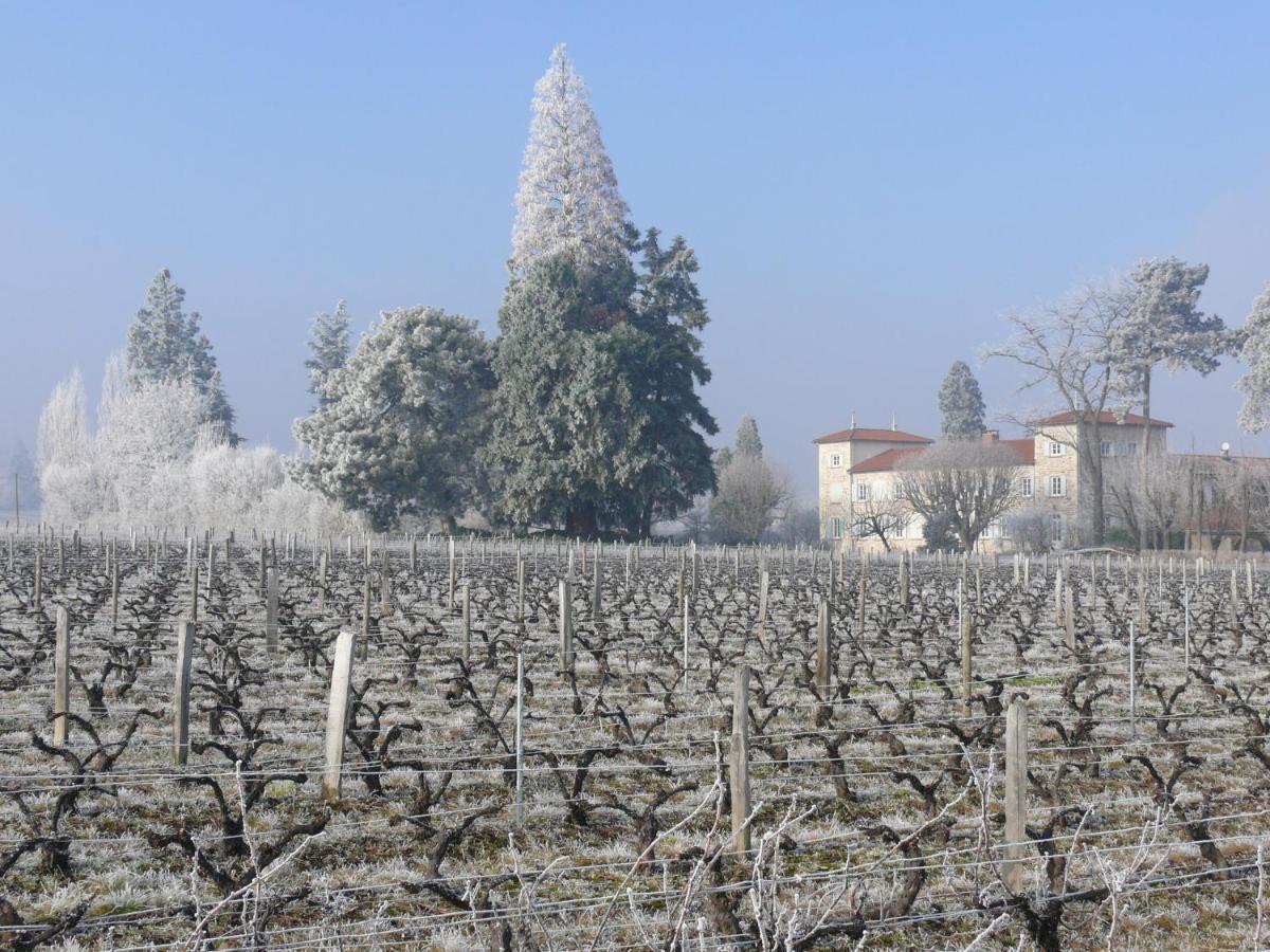 Château De Grandmont D'hôtes * Blacé